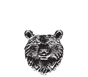 Mishka Premium Vodka